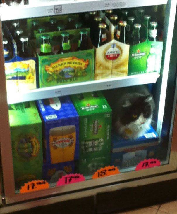 Acid Picdump 1 (86 pics)