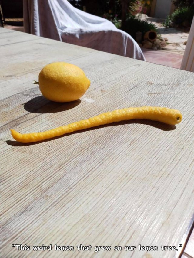 Acid Picdump 1 (86 pics)