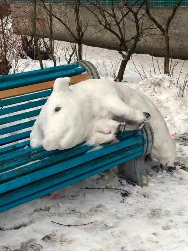 Acid Picdump 1 (86 pics)
