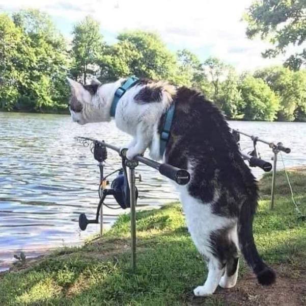 Acid Picdump 2 (81 pics)