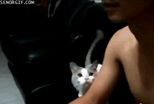 Acid Gifdump, April 2 (25 gifs)