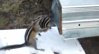 Acid Gifdump, April 2 (25 gifs)