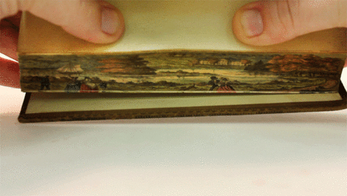 Acid Gifdump, April 2 (25 gifs)