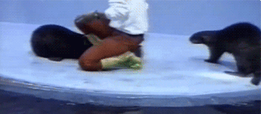 Acid Gifdump, April 2 (25 gifs)