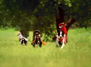 Acid Gifdump, April 2 (25 gifs)