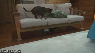 Acid Gifdump, April 2 (25 gifs)