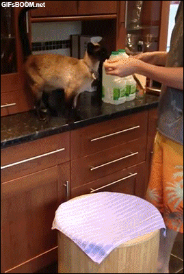 Acid Gifdump, April 2 (25 gifs)