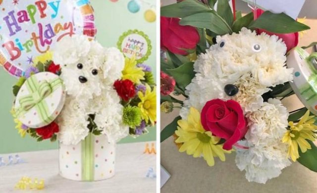 Expectations Vs. Reality (30 pics)
