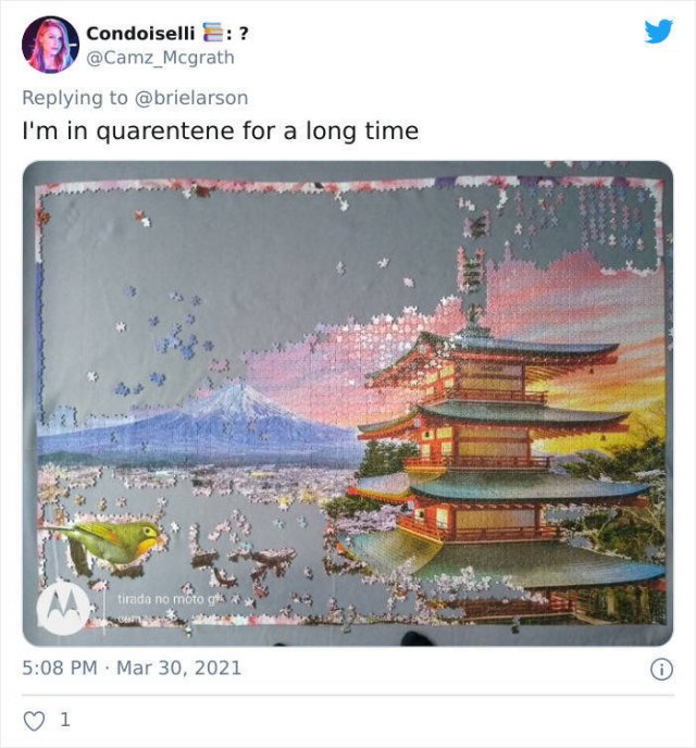 People Tell They Have Been In Quarantine For A Year Without Any Words (49 pics)