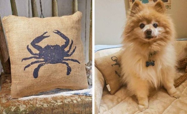 Expectations Vs. Reality (30 pics)