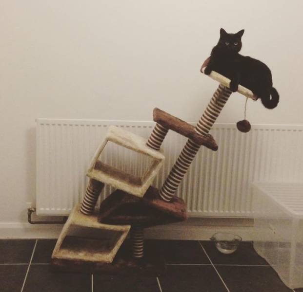 Expectations Vs. Reality (30 pics)