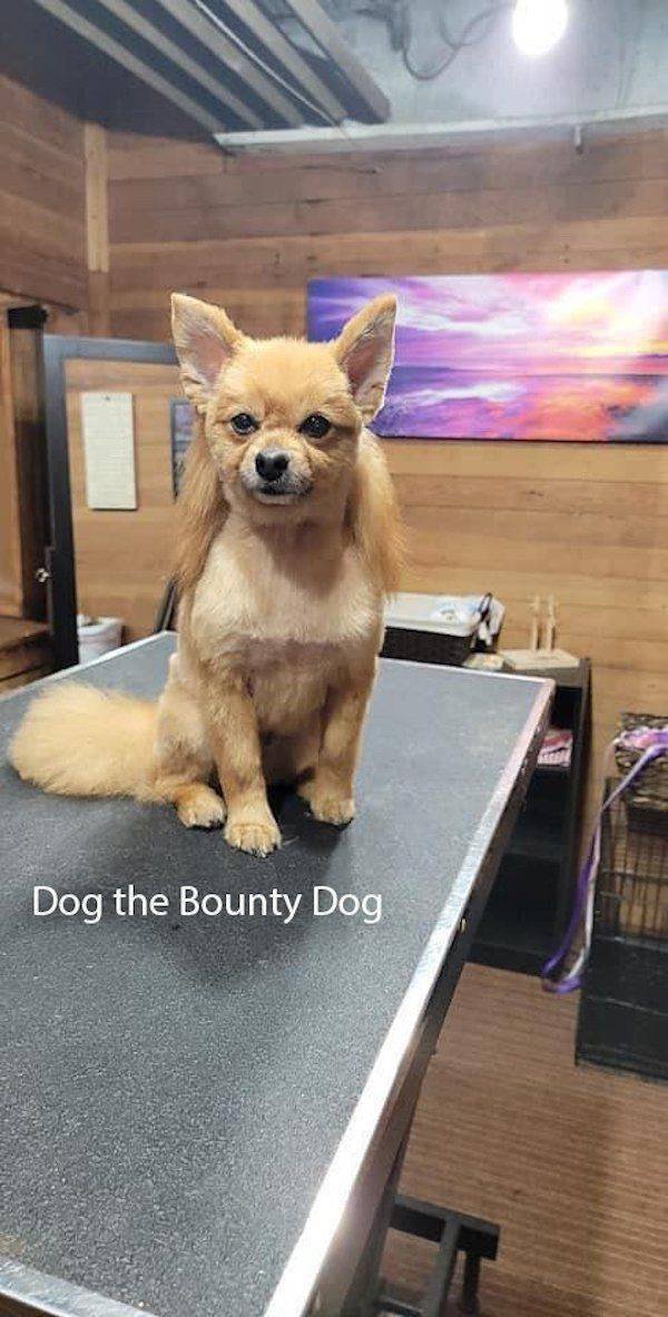 Acid Picdump 2 (81 pics)