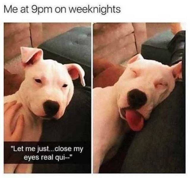 It's Hard To Be Adult (36 pics)