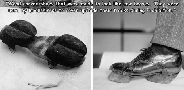 Acid Picdump 2 (81 pics)