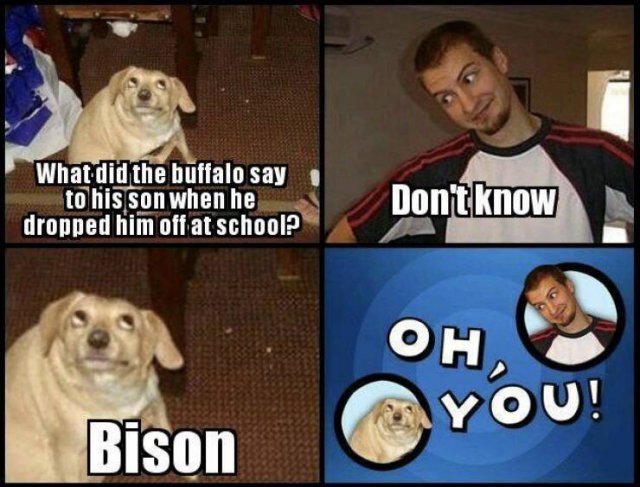 Acid Picdump 2 (81 pics)