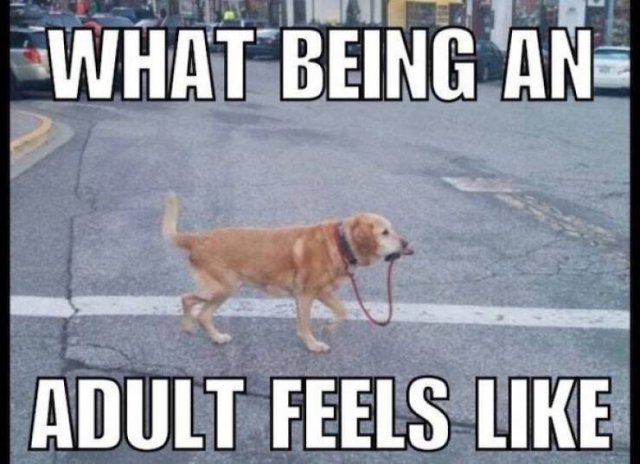 It's Hard To Be Adult (36 pics)