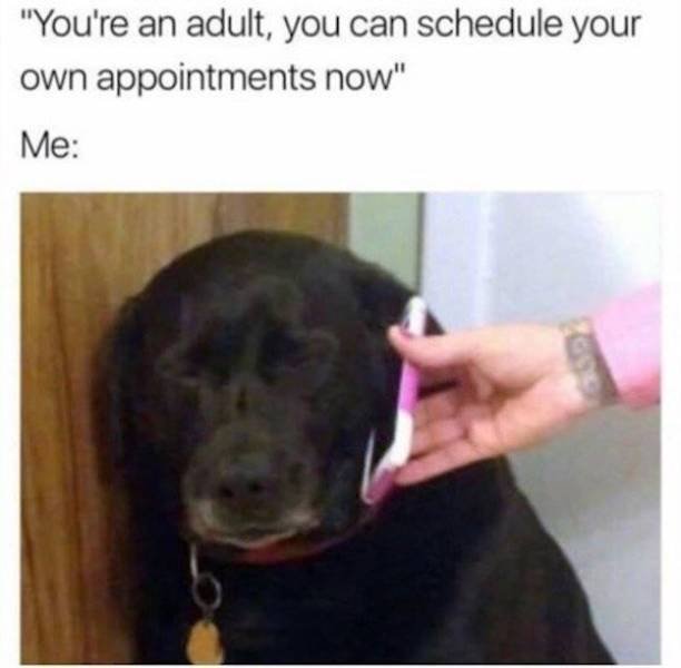 It's Hard To Be Adult (36 pics)