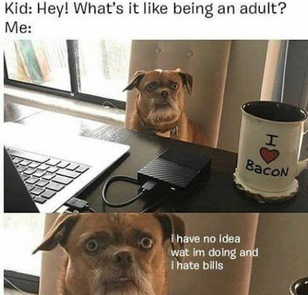 It's Hard To Be Adult (36 pics)
