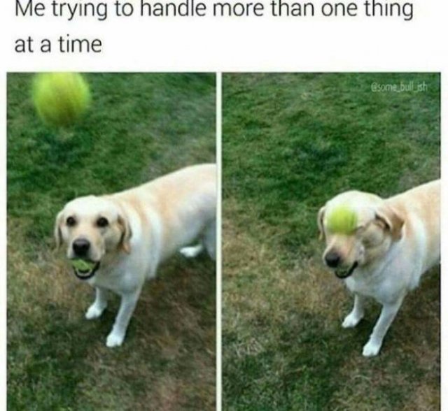 It's Hard To Be Adult (36 pics)