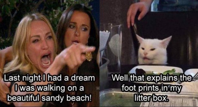 Random Funny Memes (123 pics)