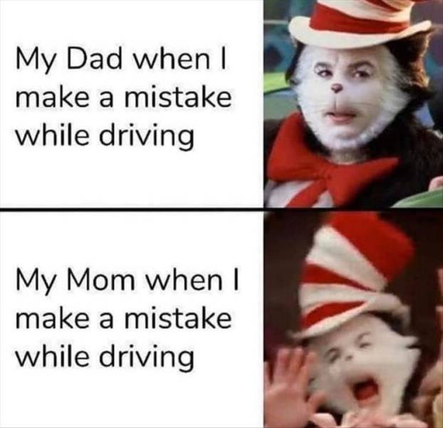 Random Funny Memes (123 pics)
