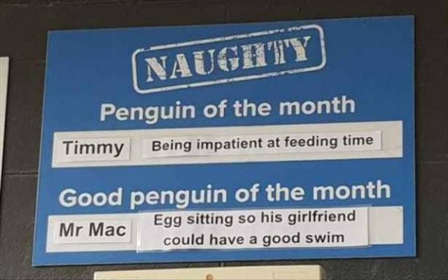 Random Funny Memes (123 pics)