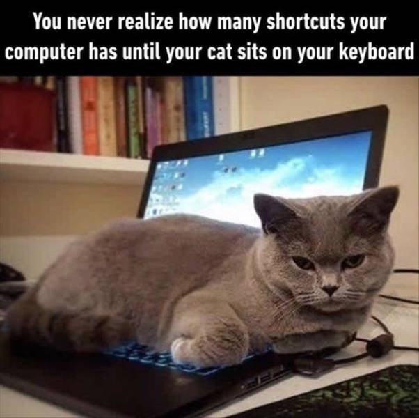 Random Funny Memes (123 pics)