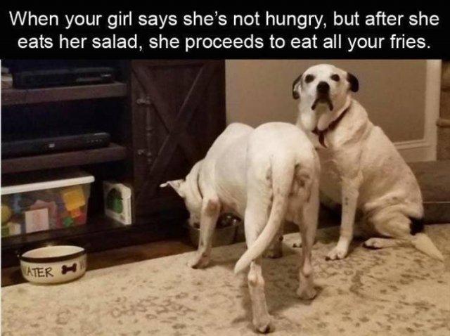 Random Funny Memes (123 pics)