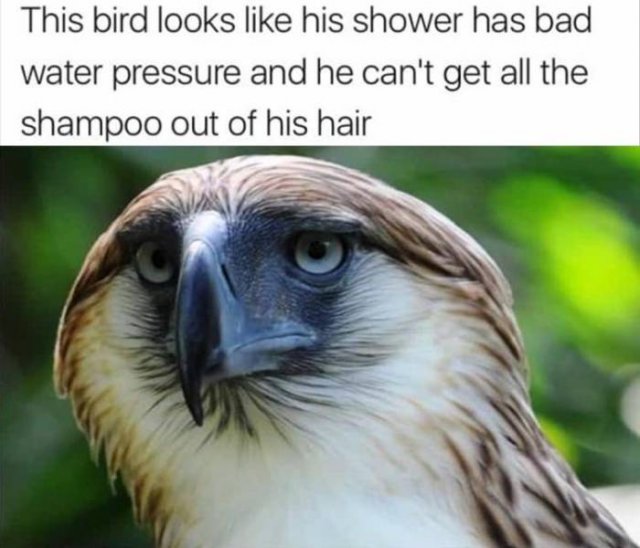 Random Funny Memes (123 pics)