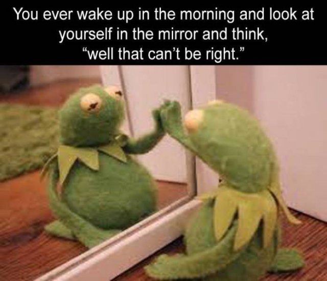 Random Funny Memes (123 pics)