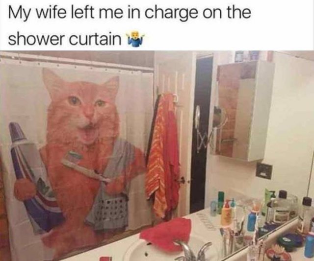 Random Funny Memes (123 pics)