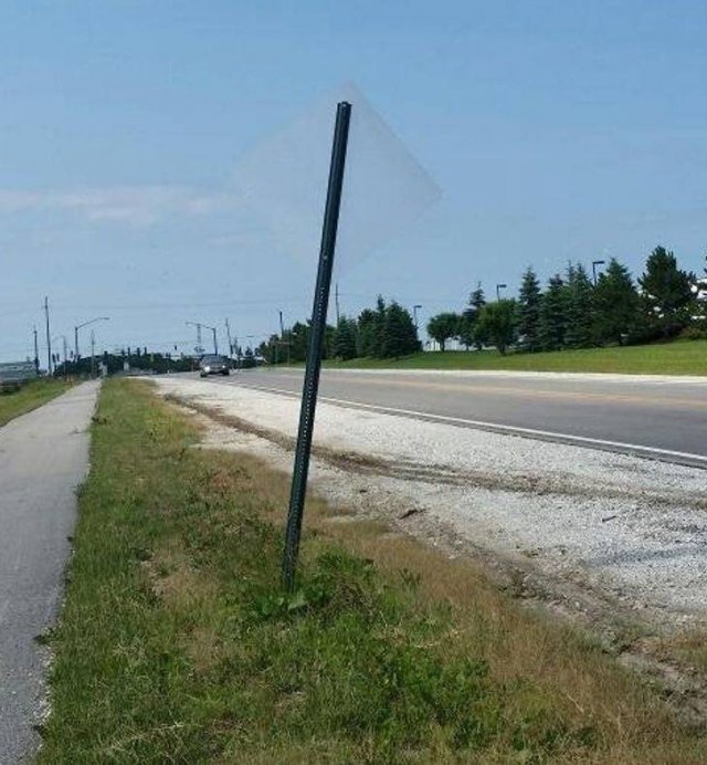 Look Twice (18 pics)