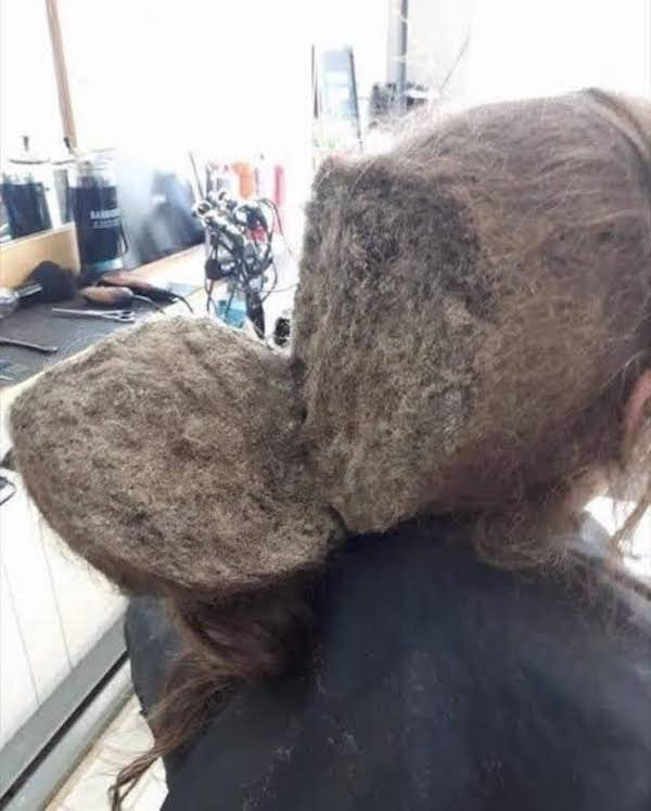 OMG Pictures (35 pics)