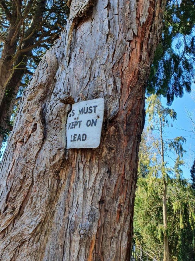 Acid Picdump 1 (89 pics)