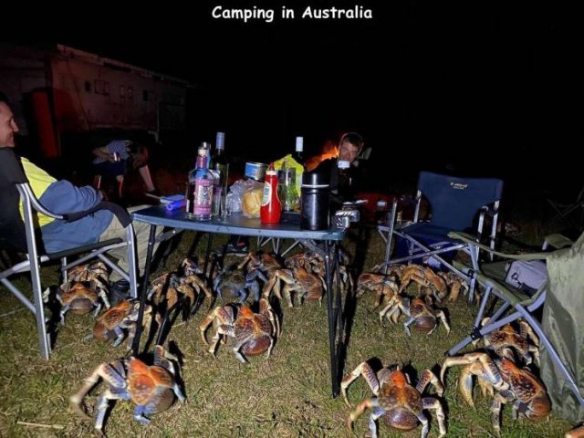 Acid Picdump 1 (89 pics)