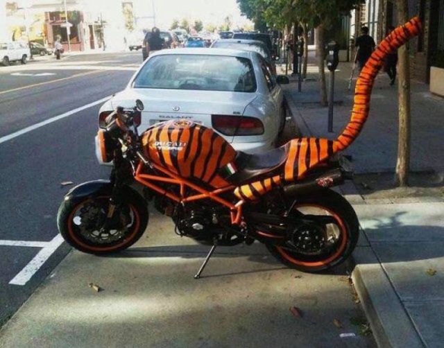 OMG Pictures (35 pics)
