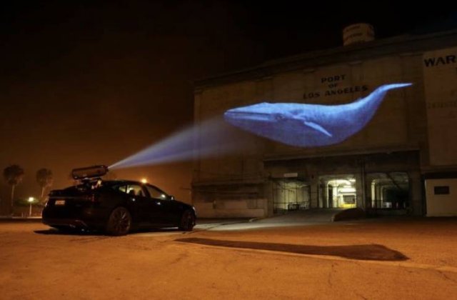 Acid Picdump 1 (89 pics)