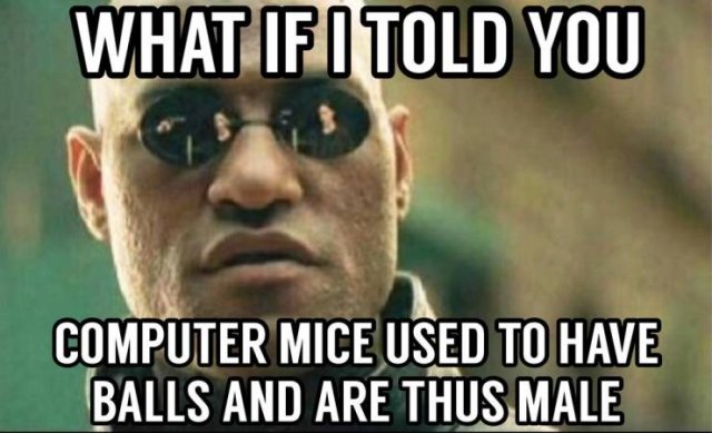 Acid Picdump 2 (88 pics)