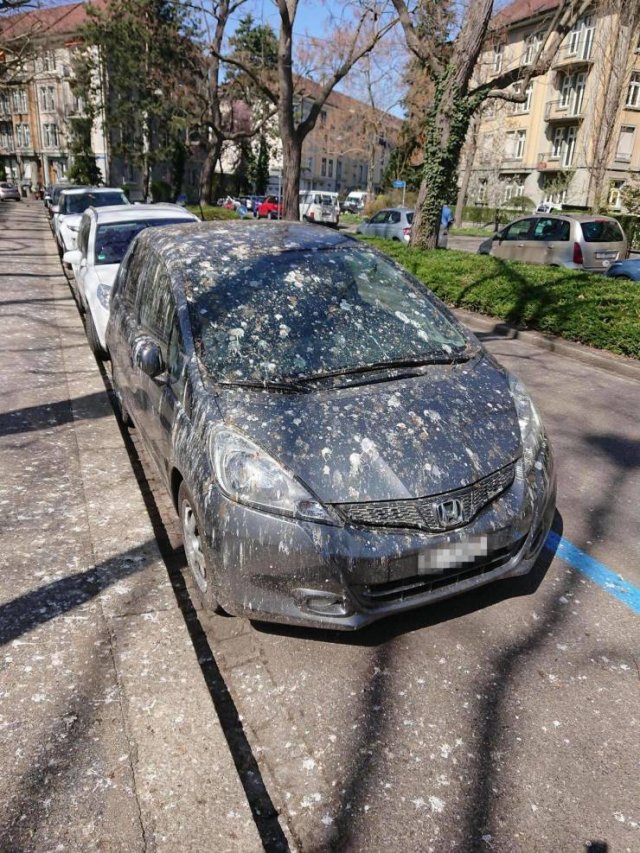 Bad Days Happen (43 pics)