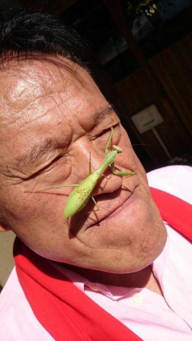 Acid Picdump 1 (76 pics)