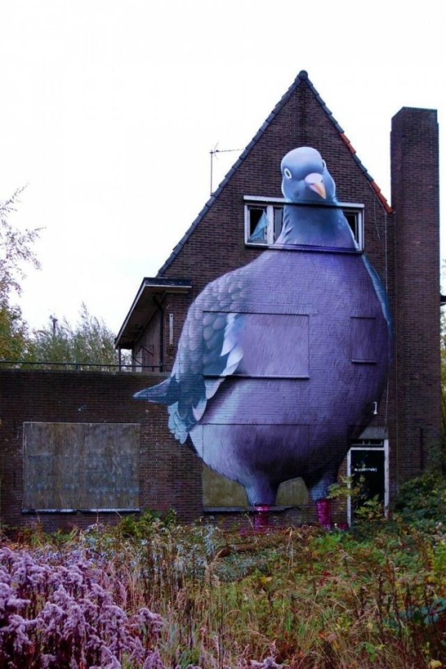 Acid Picdump 1 (76 pics)