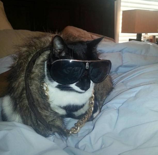 Acid Picdump 1 (76 pics)