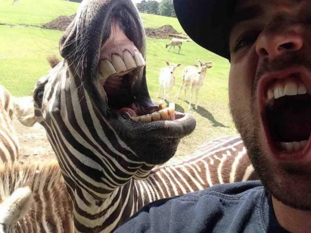 Acid Picdump 1 (76 pics)
