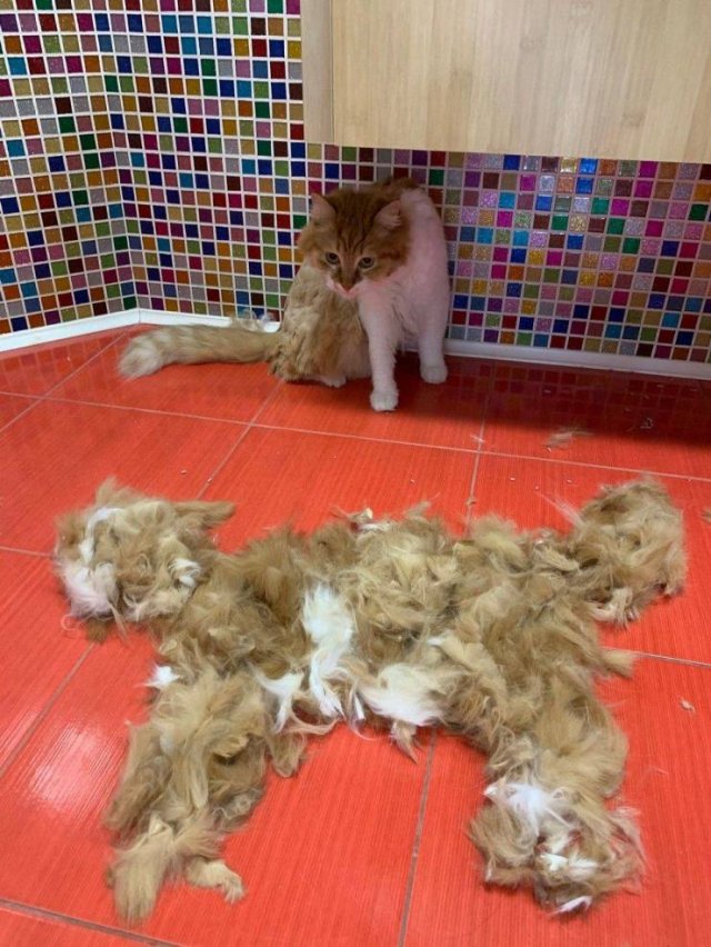 Acid Picdump 1 (76 pics)