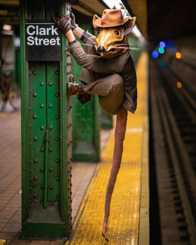 Amazing New York Subway Passenger Photos By Mr. NYC Subway (46 pics)