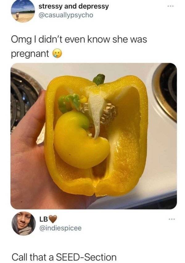 Sarcastic Comments (27 pics)