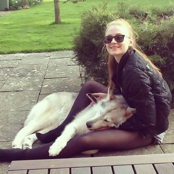 Celebrities With Their Dogs (30 pics)
