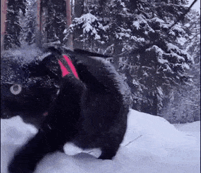 Acid Gifdump, April 7 (25 gifs)