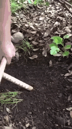 Acid Gifdump, April 7 (25 gifs)