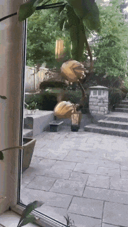 Acid Gifdump, April 7 (25 gifs)